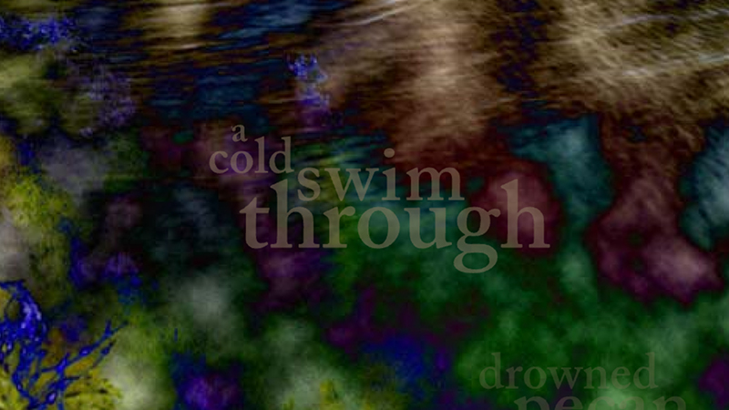 gallery image of Diver