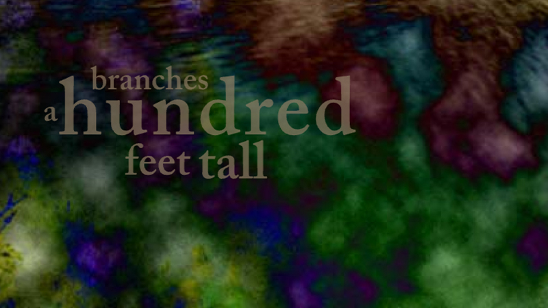 gallery image of Diver