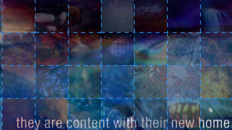 gallery image of Dissolution