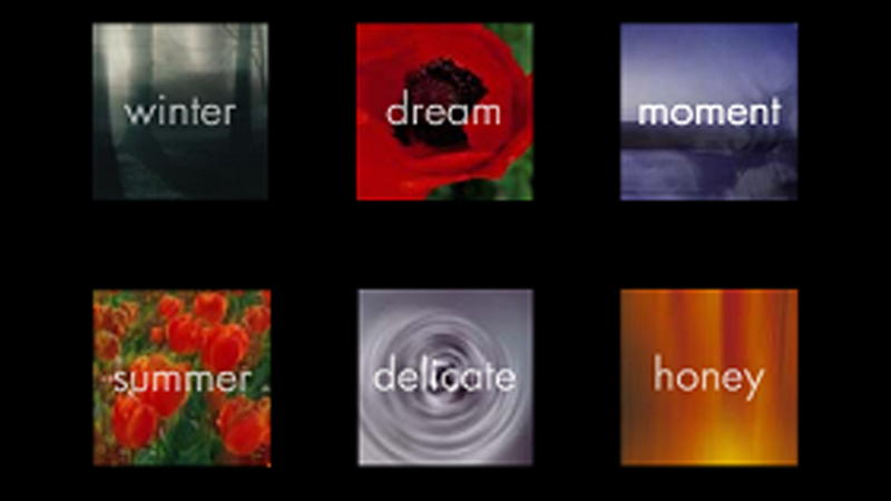 gallery image of The Murmur of Interstices