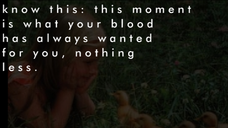 gallery image of Red Lily