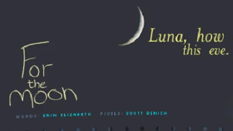 gallery image of For the Moon