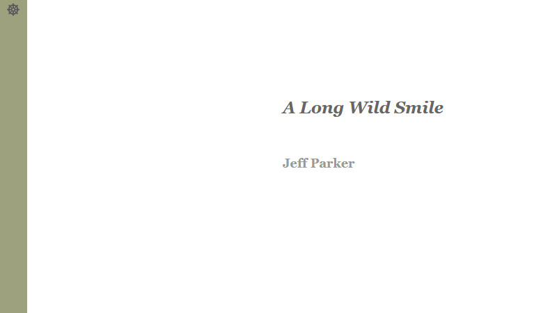 gallery image of A Long Wild Smile