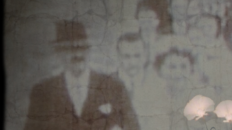 gallery image of Dervish Flowers