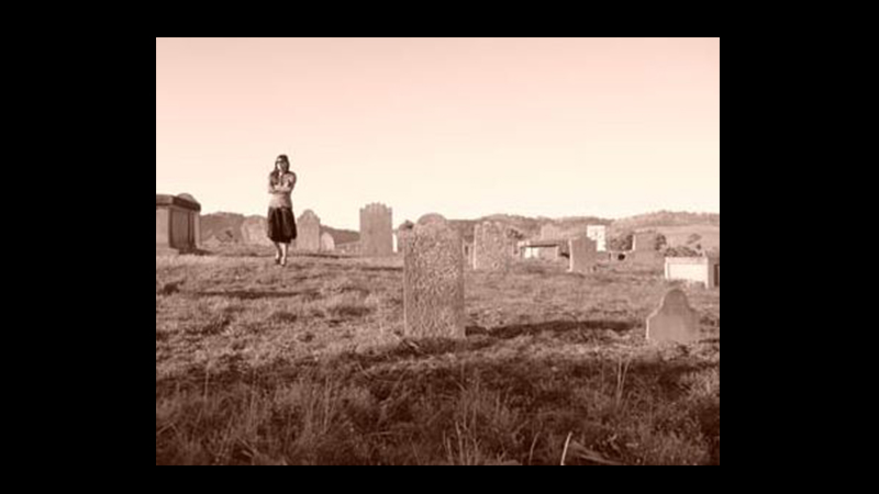 gallery image of The Bomar Gene