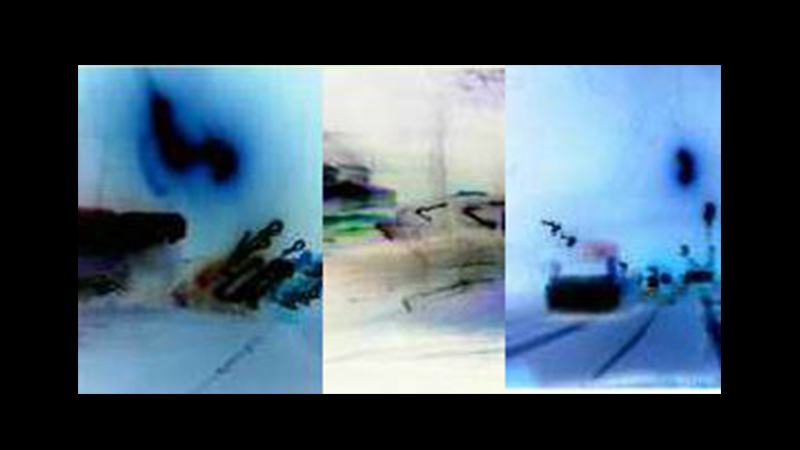 gallery image of The Bomar Gene