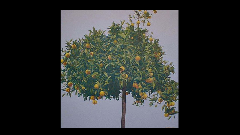 gallery image of The Bomar Gene