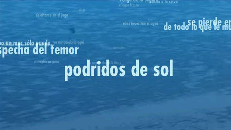 gallery image of mar puro