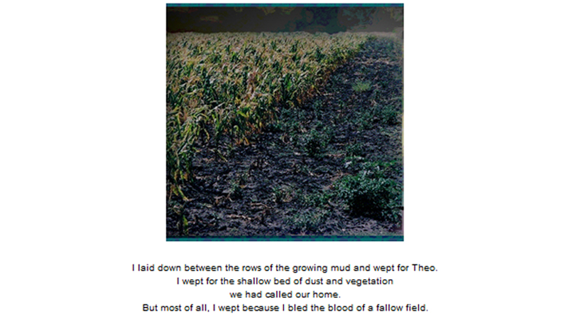 gallery image of Fallow Field