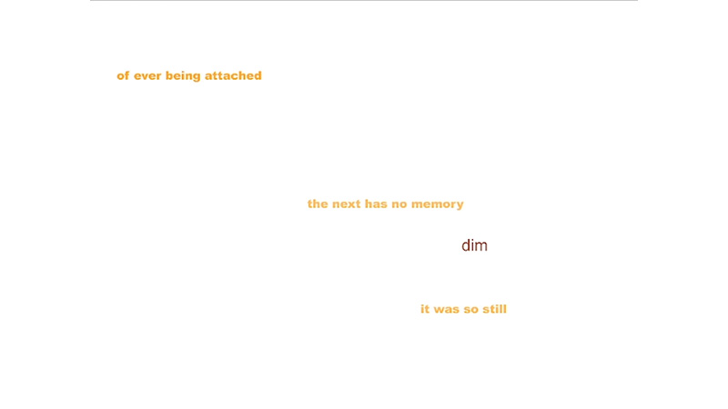 gallery image of Xylo