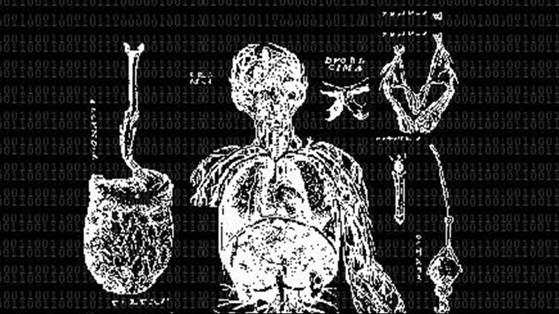 gallery image of ftp_formless_anatomy