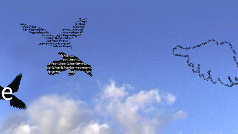 gallery image of Birds Singing Other Birds' Songs