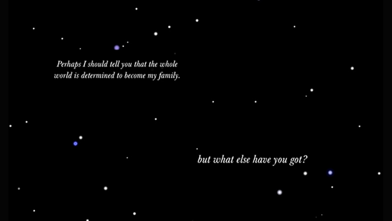 gallery image of Like Stars in a Clear Night Sky