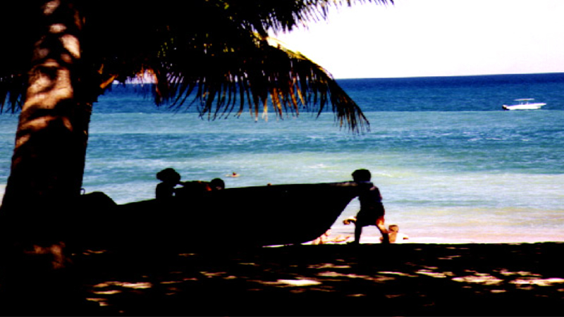 gallery image of White-Faced Bromeliads on 20 Hectares