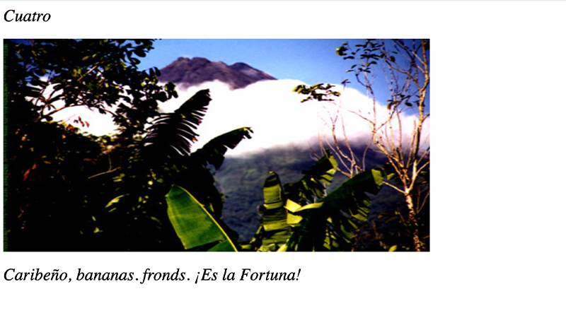 gallery image of White-Faced Bromeliads on 20 Hectares