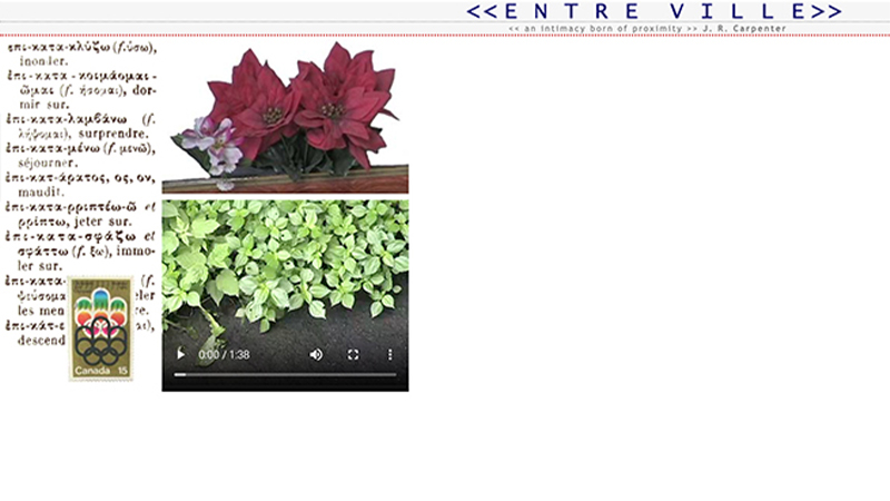 gallery image of Entre Ville