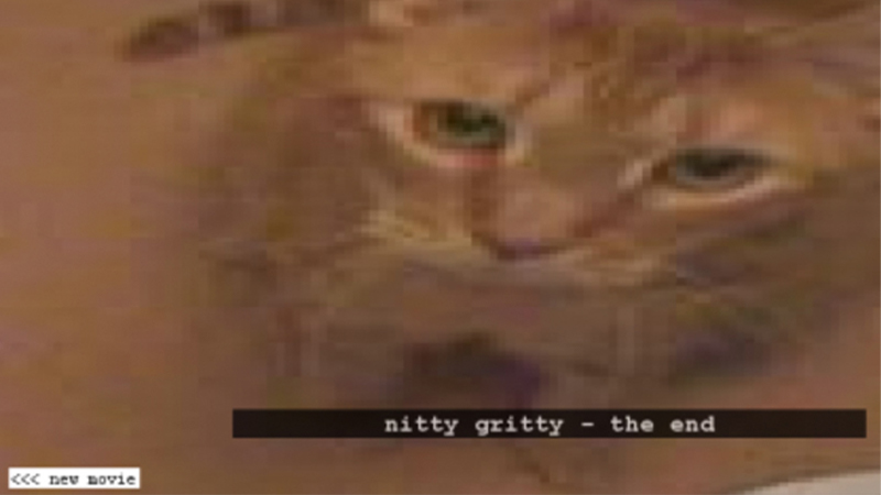 gallery image of synonymovie