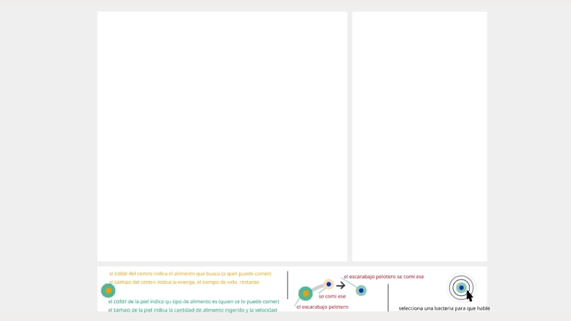 gallery image of Bacterias Argentinas
