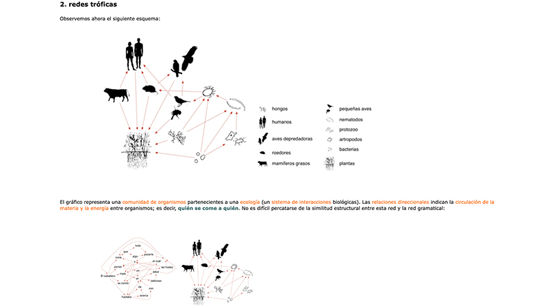 gallery image of Bacterias Argentinas