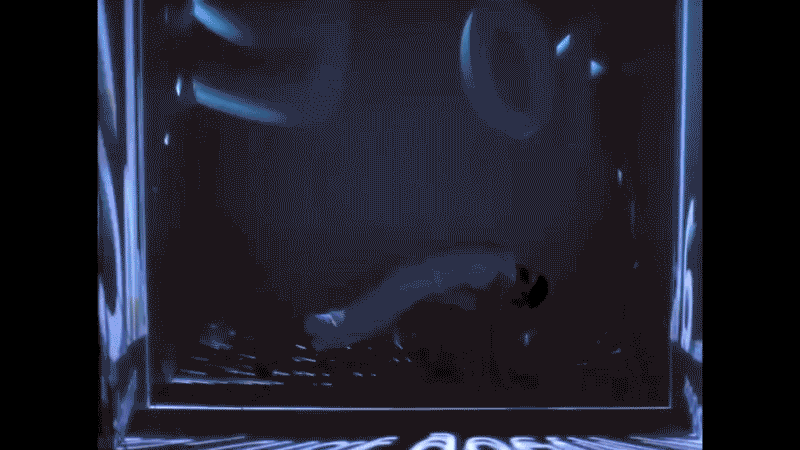 gallery image of Canticle