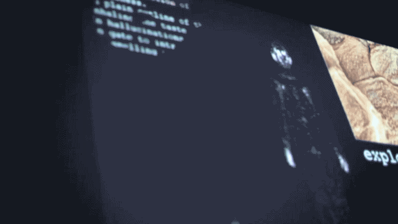 gallery image of Enter:In' Wodies