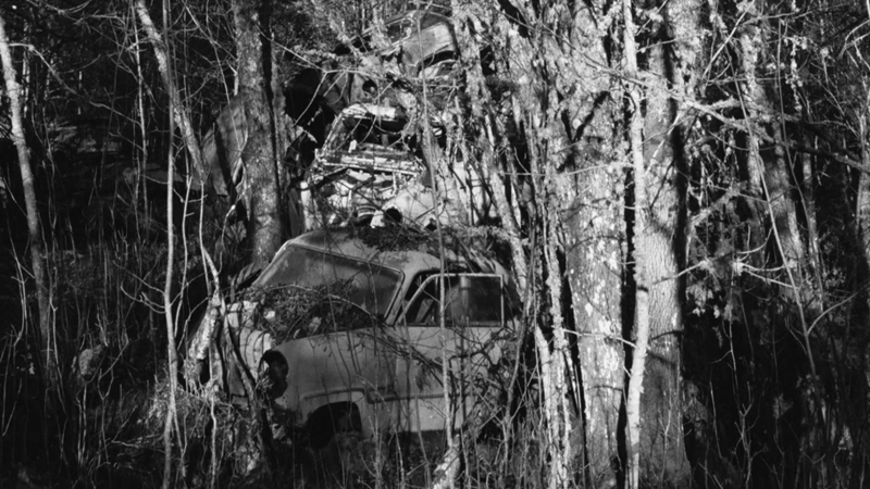 gallery image of when