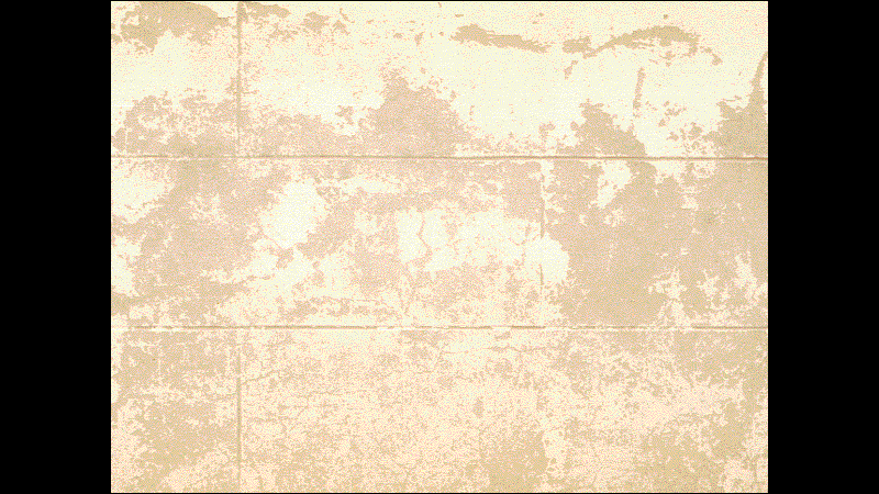 gallery image of Salt of the Earth