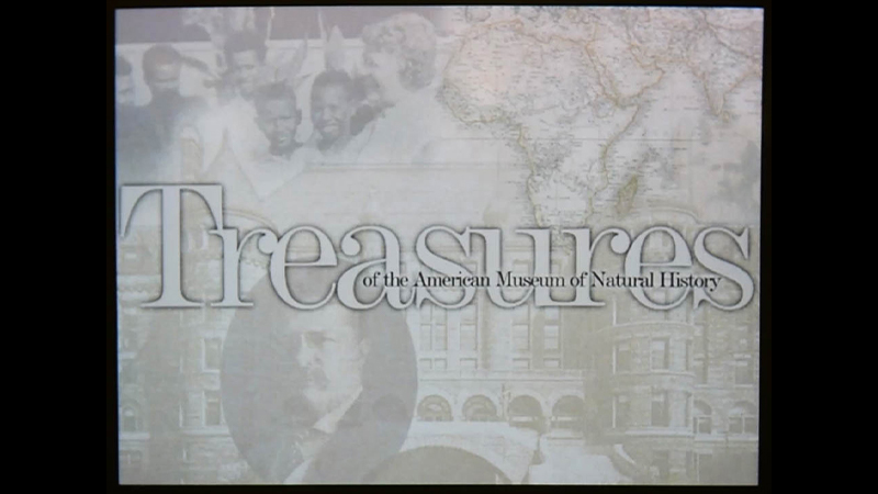 gallery image of Treasures of the American Museum of Natural History