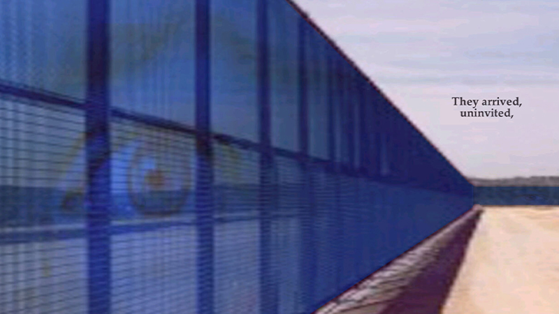 gallery image of Wander Wire