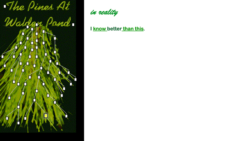 gallery image of The Pines at Walden Pond