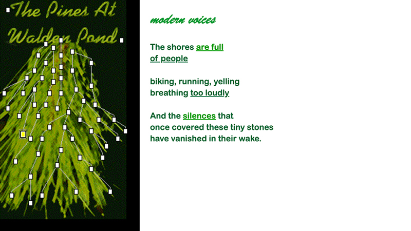 gallery image of The Pines at Walden Pond