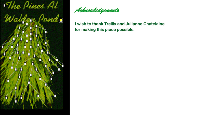 gallery image of The Pines at Walden Pond