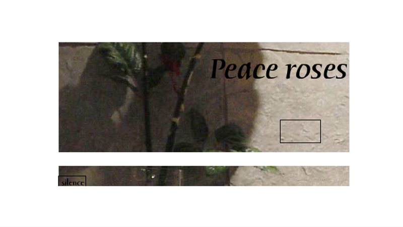 gallery image of Peace Roses