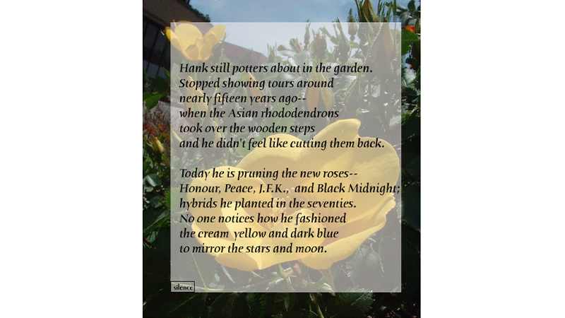 gallery image of Peace Roses