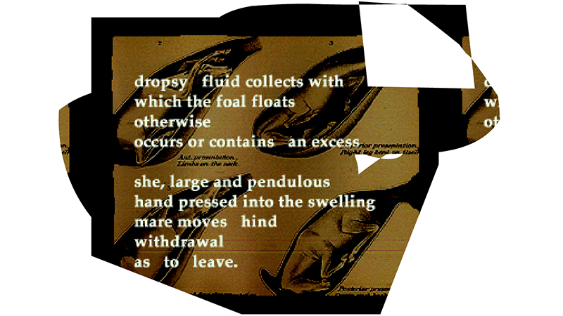 gallery image of Diseases of the Horse