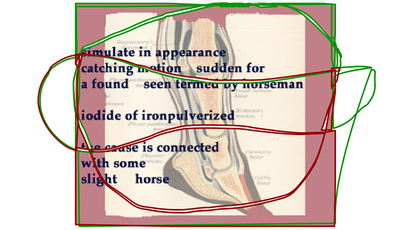 gallery image of Diseases of the Horse