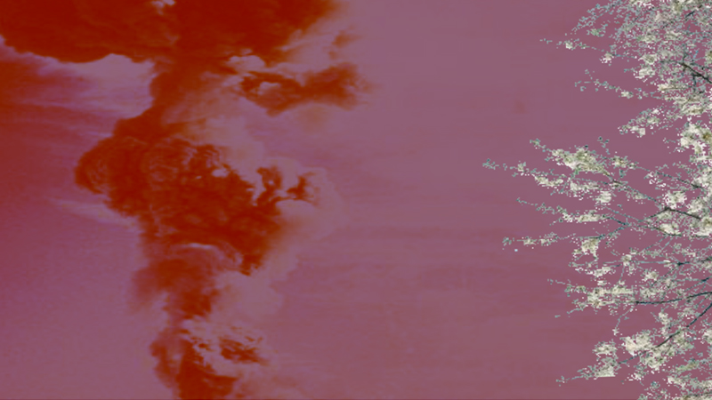 gallery image of Reverie