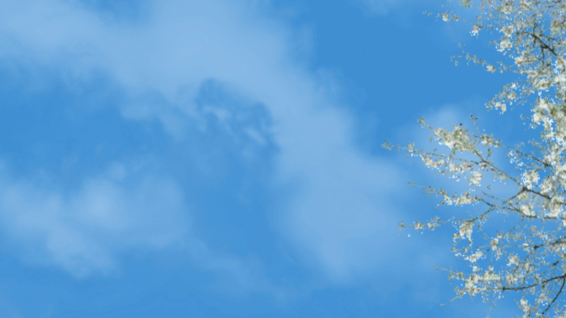 gallery image of Reverie