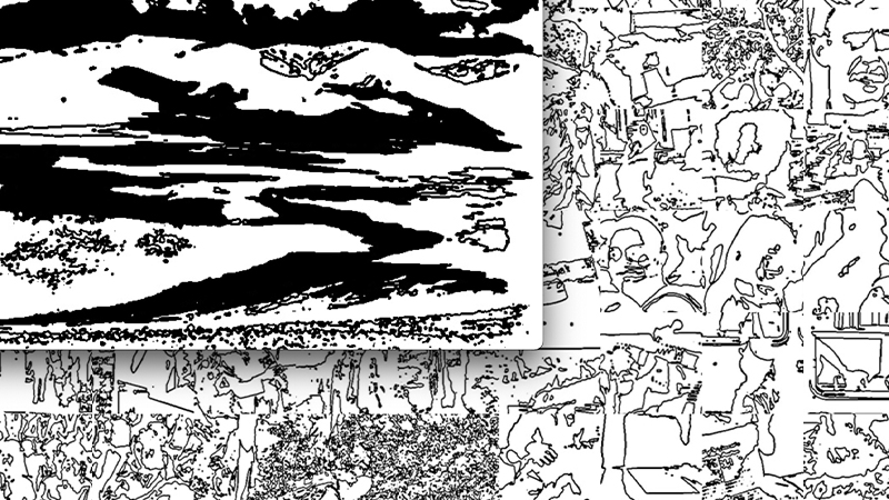 gallery image of Lines of Life